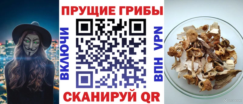 Псилоцибиновые грибы Psilocybe  кракен ТОР  Анадырь 